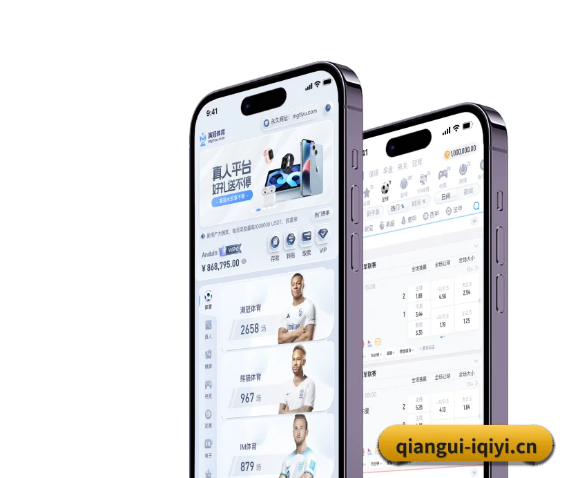 国际化进程 | qiangui